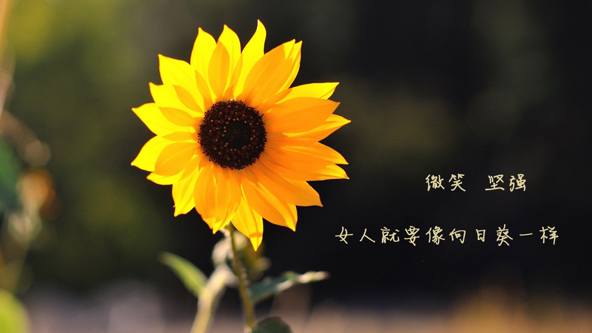 _探秘未知洞穴：极限探险与体育结合_，未知的探险