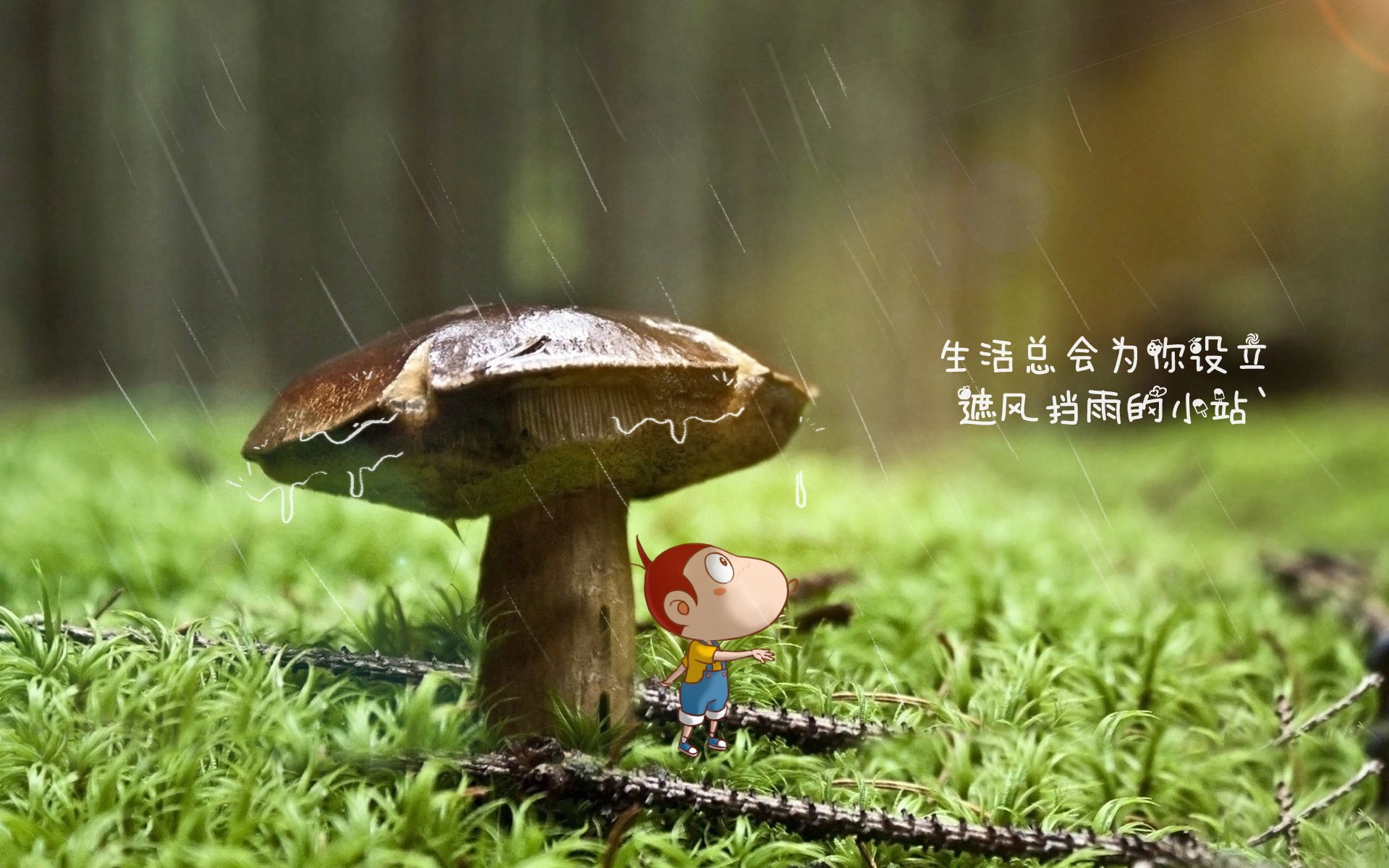 九游娱乐APP-阿尔比诺拉完美攻破对手球门，赢得主场比赛，阿尔比诺尼的柔板