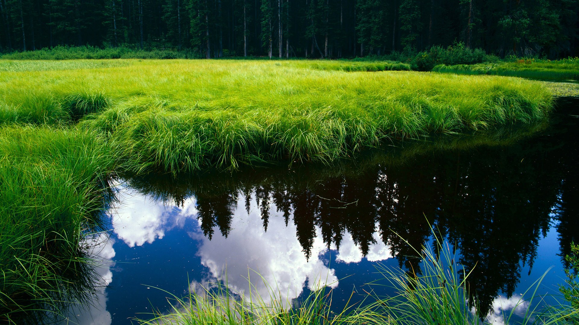 法甲青训体系中引入HRV监测提升体能恢复效率,法甲青训排名