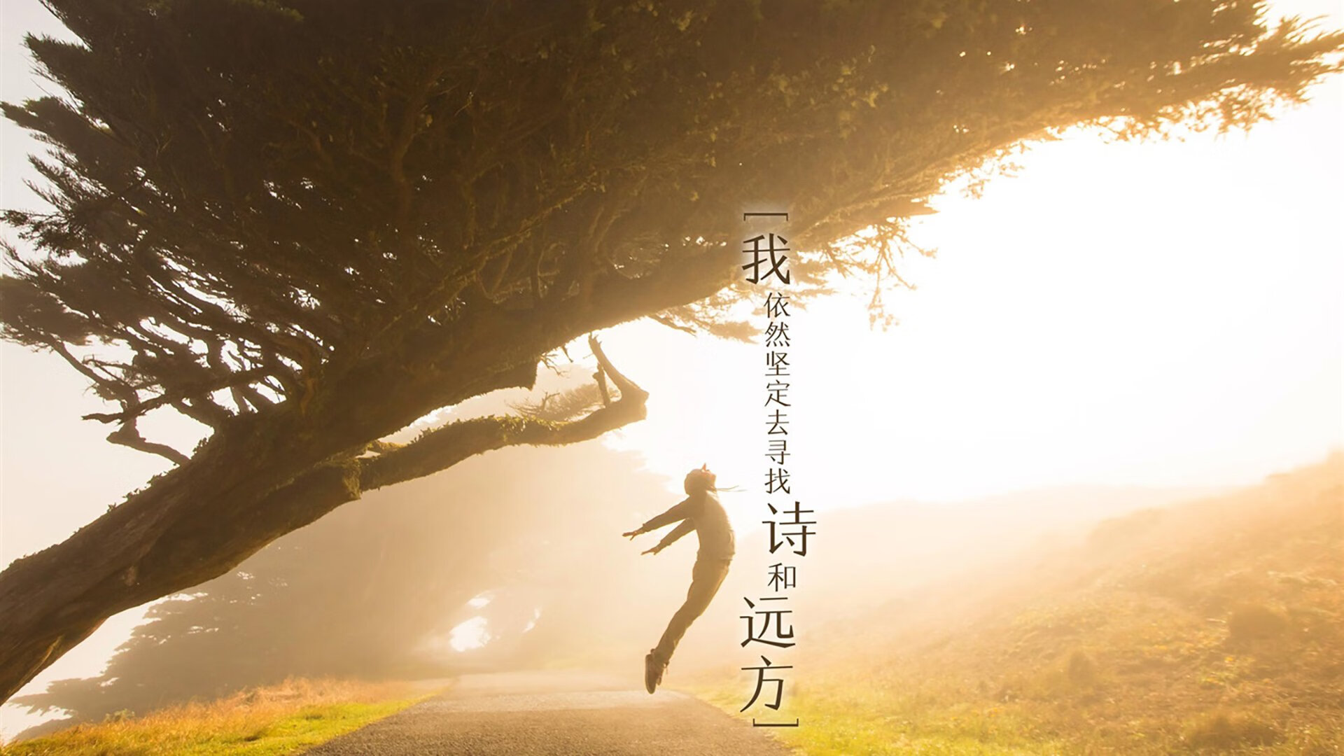 美男队自由泳统治地位难撼动，男子自由泳第一人