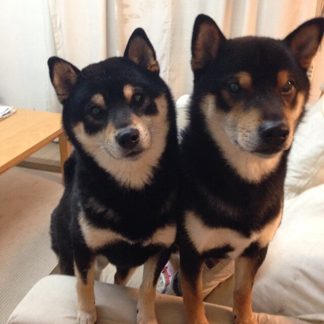 恩比德突破上篮七六人伤病名单更新,nba恩比德伤势如何