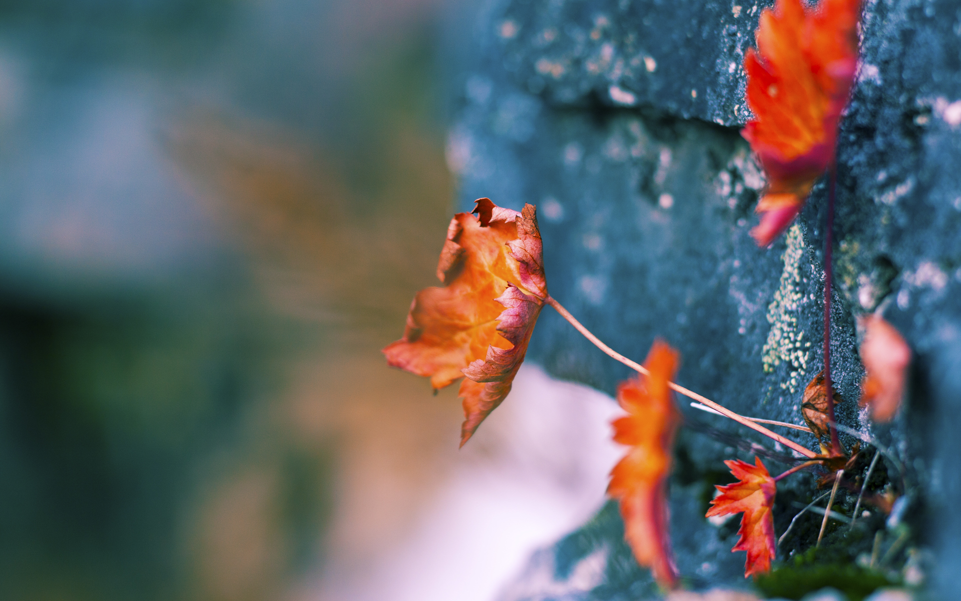 训练营引入外籍体能师提升队伍整体体能规划水平与科学恢复,国外体能训练课