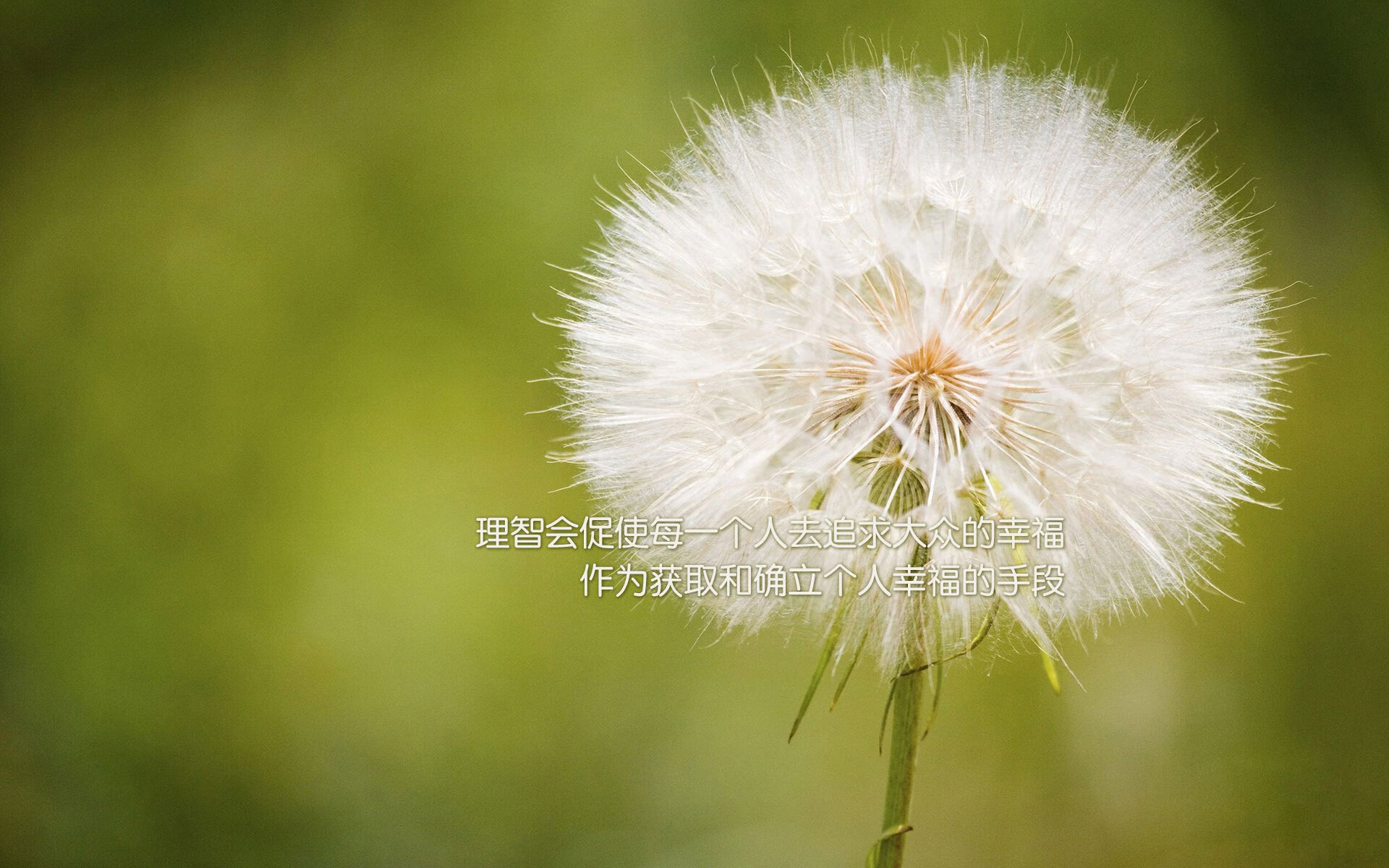 九游娱乐官网 (jiuyou)-高校篮球赛事引入全程录像回放技术提升判罚准确度，大学篮球比赛直播