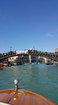 九游-世界青少年横渡海峡挑战赛掀起全民关注,勇气席卷海洋,横渡 海峡