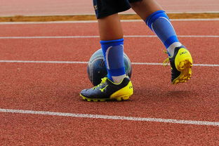 九游娱乐电竞官网-篮球运动员心理韧性培养及心理健康干预机制研究,篮球运动员的心理素质训练应把重点放在