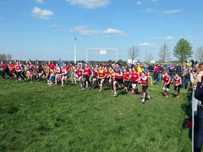 九游在线玩-青少年体育社交平台互动行为研究，青少年体育文化