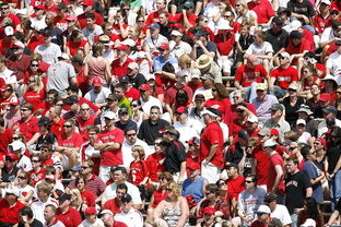 九游网游官网-高校体育赛事观众体验提升策略研究，体育赛事审美体验